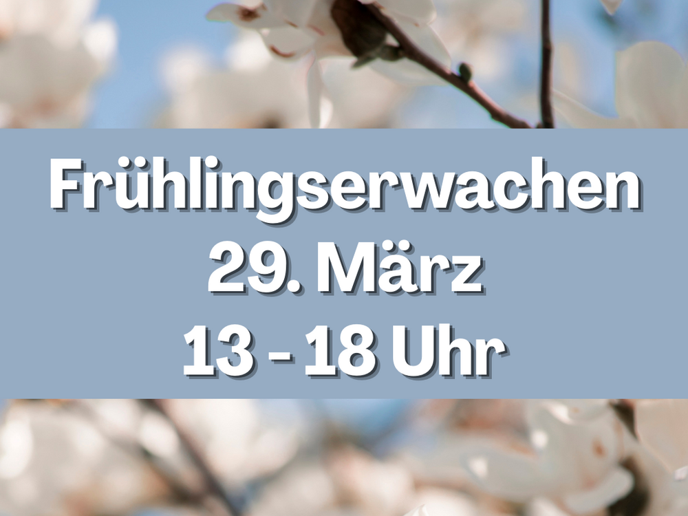 Plakatausschnitt Plakatausschnitt