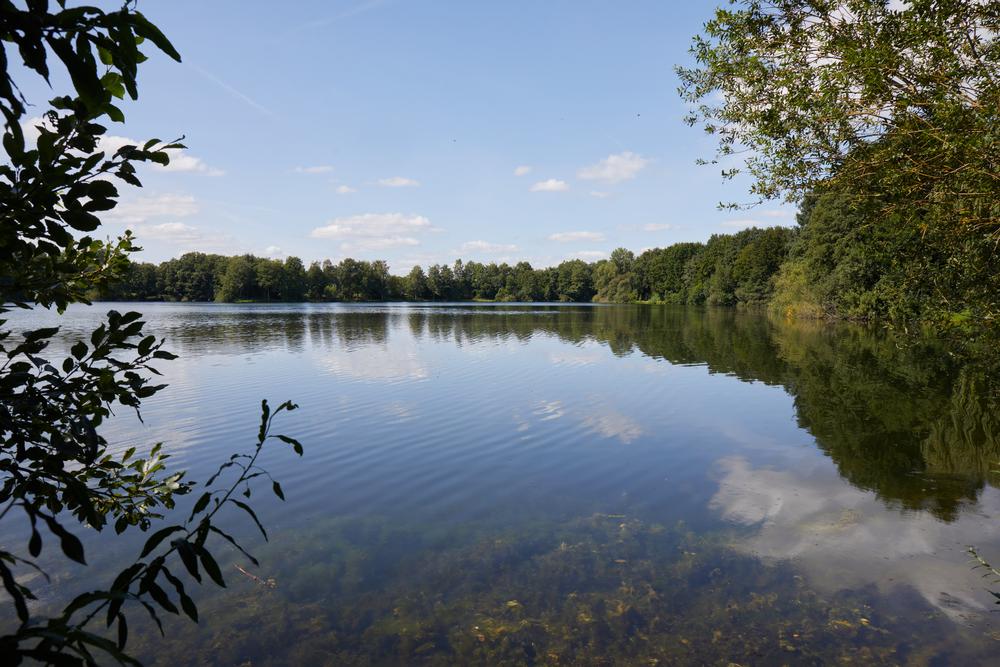 Verler See