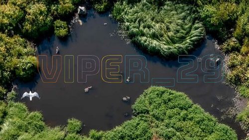 Viper 29