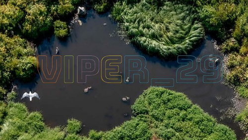 Viper 29