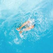 Schwimmer