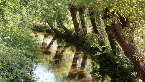 Ölbachaue Fluss