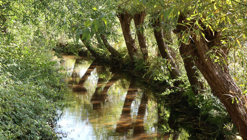 Ölbachaue Fluss