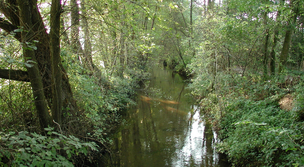 Ölbach