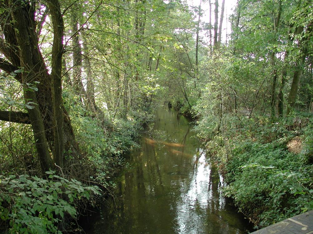 Ölbach