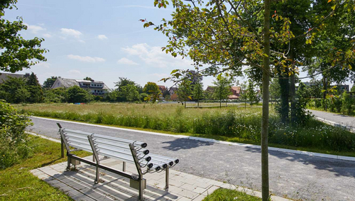 Bürmsche Wiese