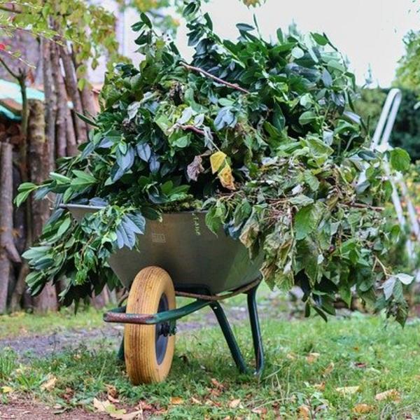 Schubkarre mit Gartenabfällen