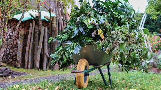 Schubkarre gefüllt mit Strauchwerk Schubkarre gefüllt mit Strauchwerk