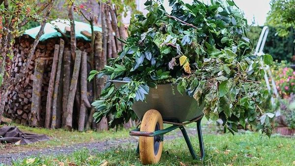 Schubkarre mit Gartenabfällen