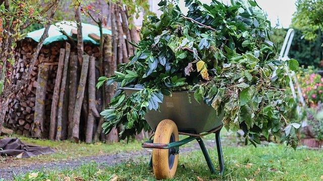 Schubkarre mit Gartenabfällen
