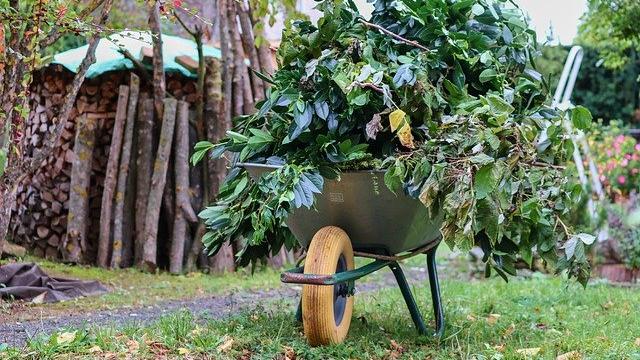 Schubkarre mit Gartenabfällen Schubkarre mit Gartenabfällen