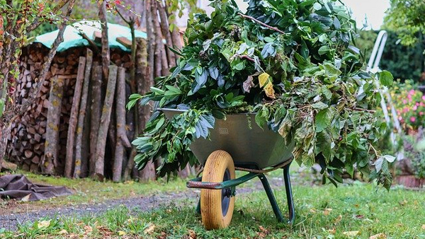 Schubkarre mit Gartenabfällen Schubkarre mit Gartenabfällen