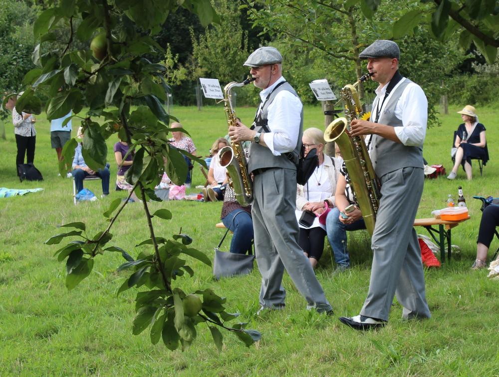 Saxofon-Duo auf der Wiese